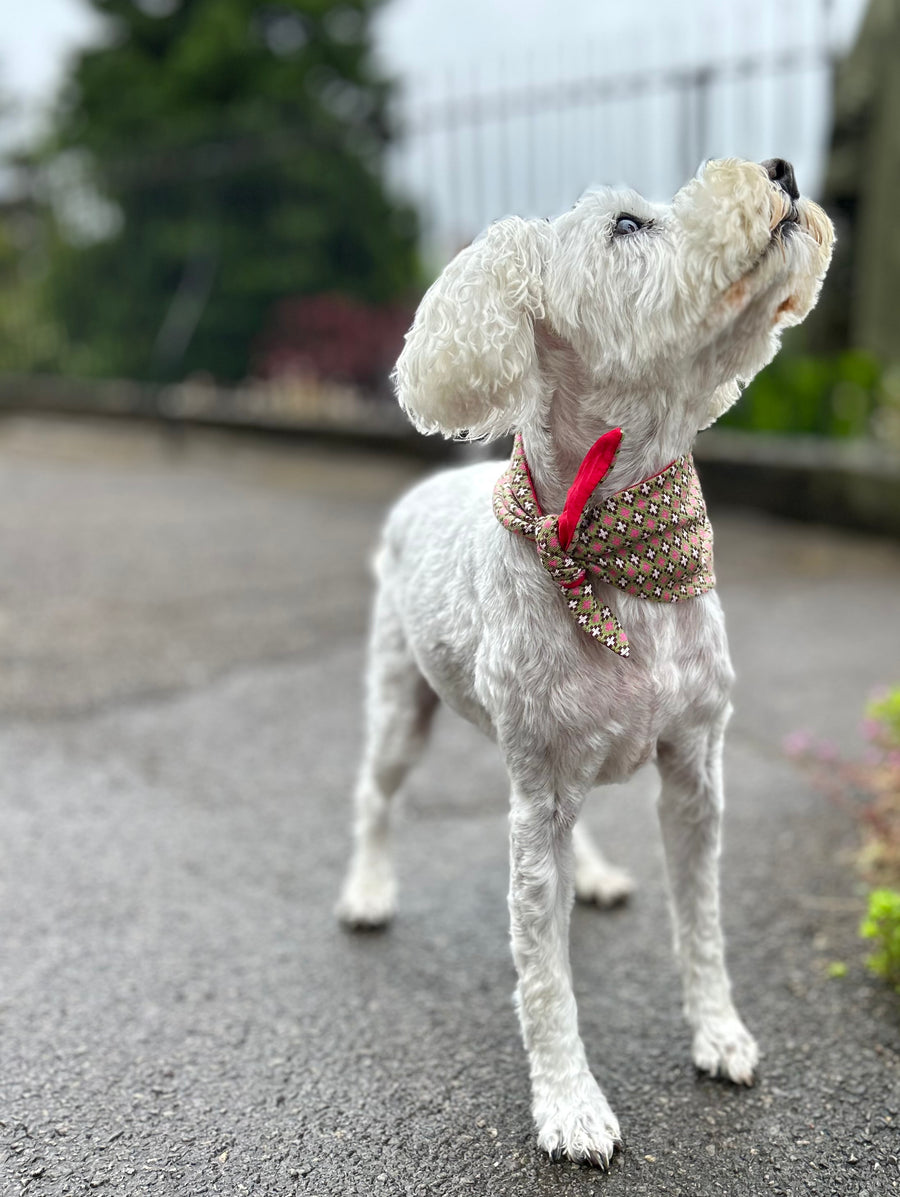 Vintage greens Design - Luxury Dog Lead set