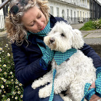 Vintage blues Design - Luxury Dog Lead set