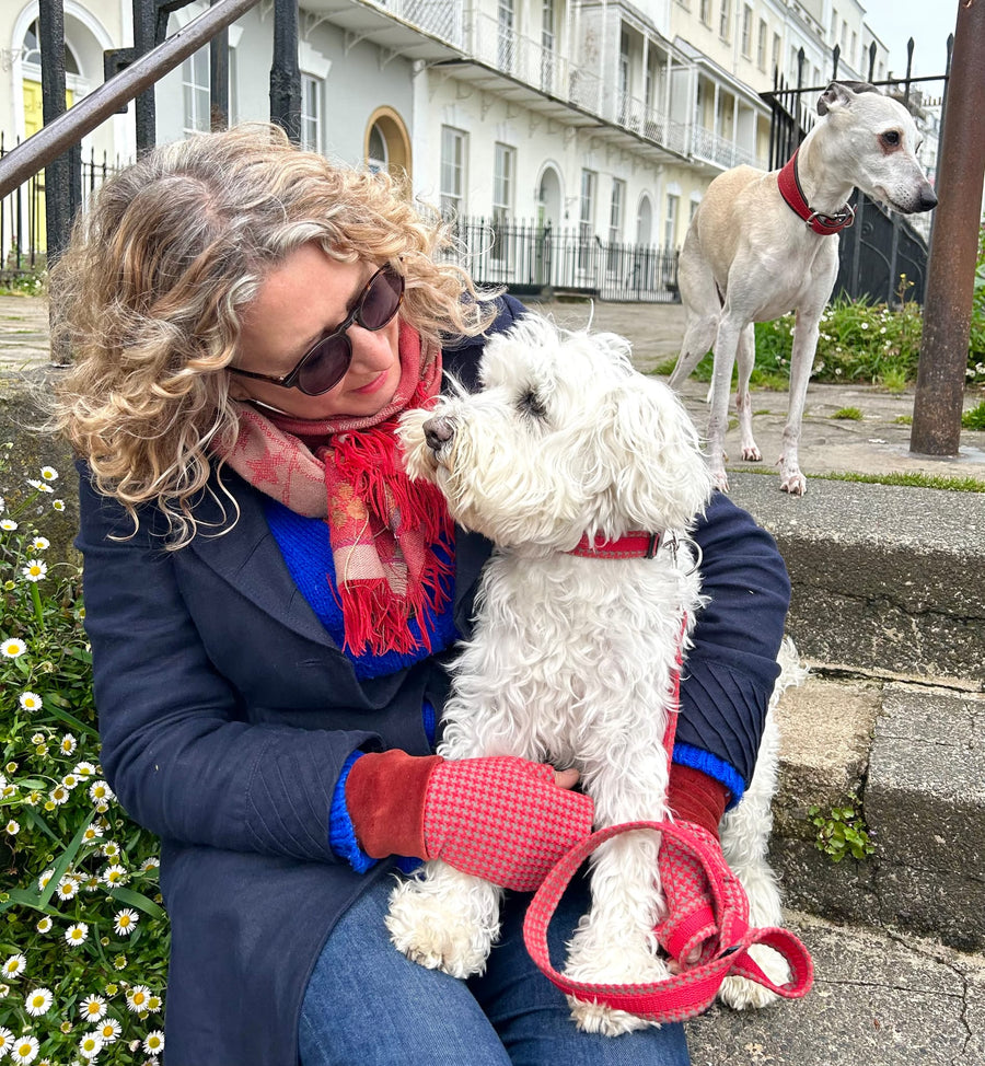 Red dogtooth Design - Luxury Dog Lead set