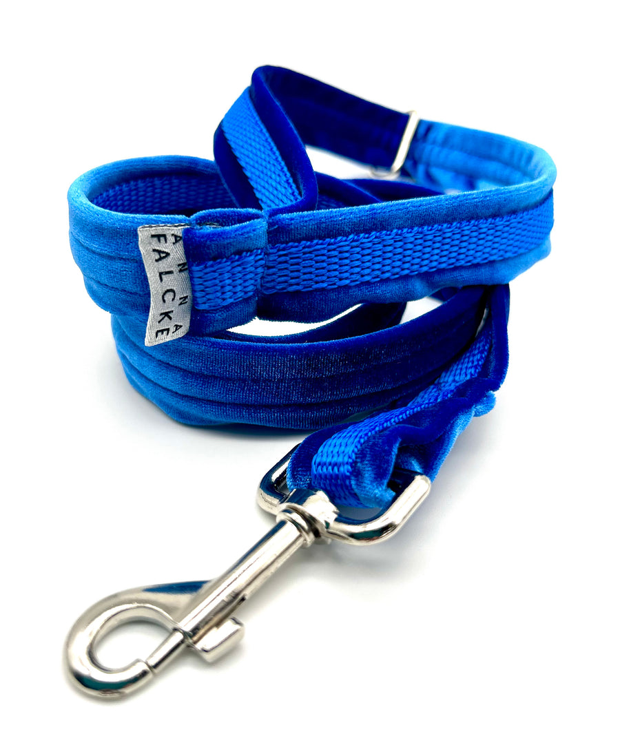 Sumptuous velvet- Luxury Dog Lead set - royal blue