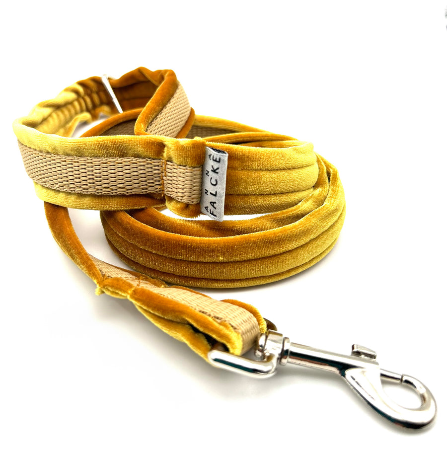 Sumptuous velvet- Luxury Dog Lead set - mustard