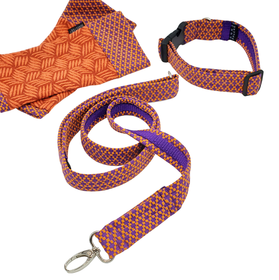Orange and purple Waffle- Doggy Collar & lead